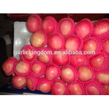Свежие фрукты яблока / китайское свежее яблоко / оптовая цена яблочного плода